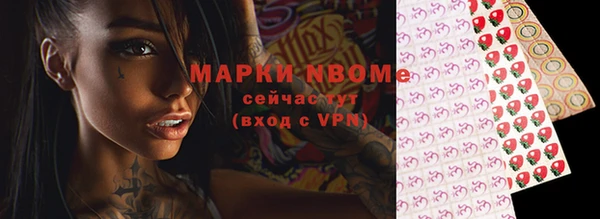 дживик Дубна