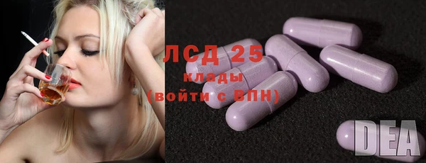 гидра Бородино