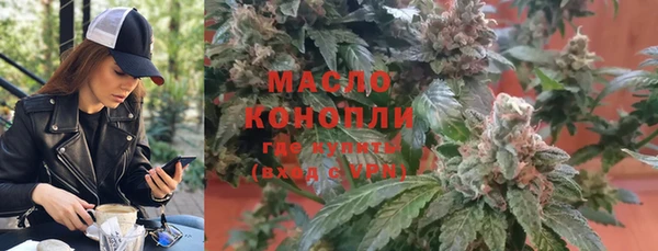 гидра Бородино