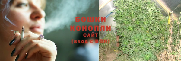 гидра Бородино