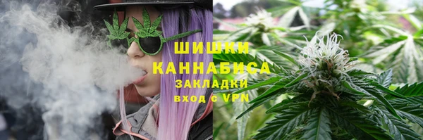 гидра Бородино