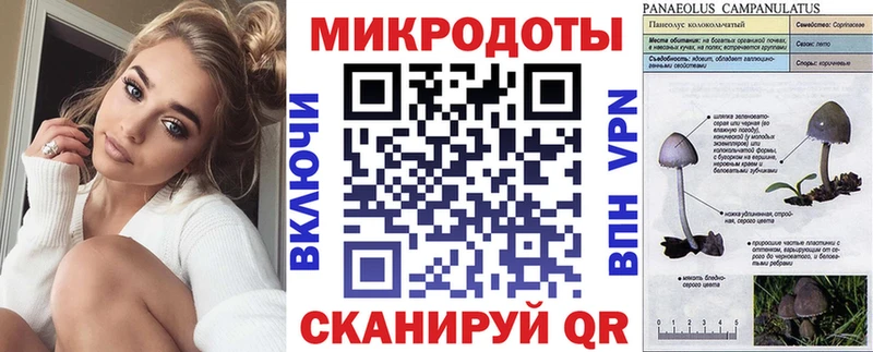 Псилоцибиновые грибы Magic Shrooms Медвежьегорск